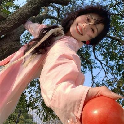 翼手龙